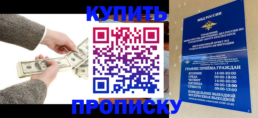 купить прописку в Нижнем Новгороде